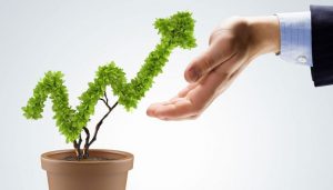 Empresa Socialmente Responsable