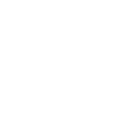Pasión por el Éxito