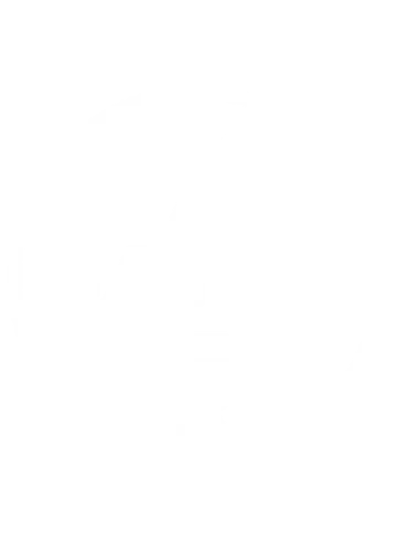 Bayer