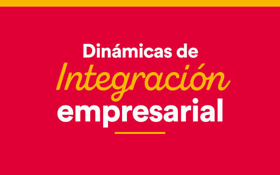 8-integracion-empresarial Dinámicas de integración empresarial